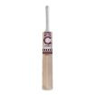 Picture of Champ Test Lite English Willow Cricket Bat - SH