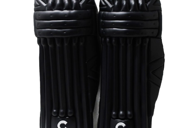Picture of Champ Test Pro Batting Leg Guard