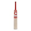 Picture of Champ Test Lite English Willow Cricket Bat – Harrow