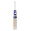 Picture of Champ Test Pro 1.0 English Willow Cricket Bat - Harrow