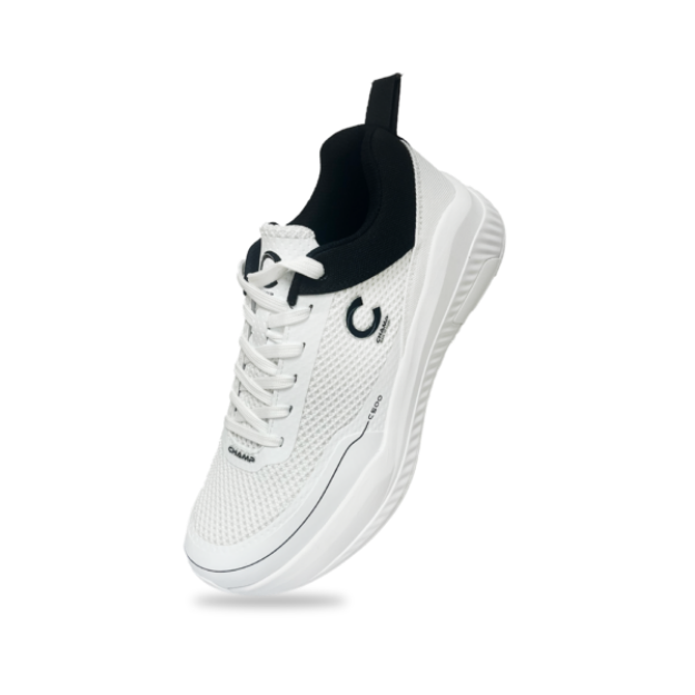 Picture of Champ C500 Senior Spikes – White and Black