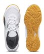 Picture of Puma Solarflash JR II – White Shadow Grey Gum