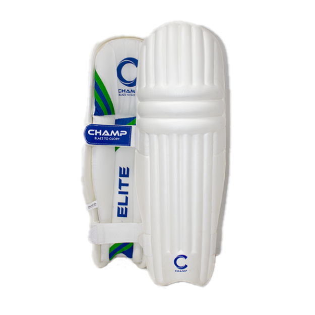 Picture of Champ Elite Moulded 2025 – Light Weight – Pads – Ambidextrous – Blue and Green