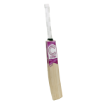 Picture of Champ Colt ELITE 2025 English Willow Cricket Bat – Size 1