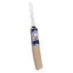 Picture of Champ Colt ELITE 2025 English Willow Cricket Bat – Size 2