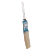 Picture of Champ Colt ELITE 2025 English Willow Cricket Bat – Size 3