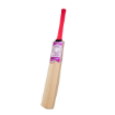 Picture of Champ Retro Cricket Bat Size 4